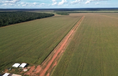 Fazenda para venda em Marcelândia